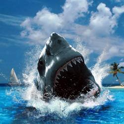 Droominterpretatie: een haai is de ergste vijand van de mens!