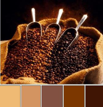 koffie kleur