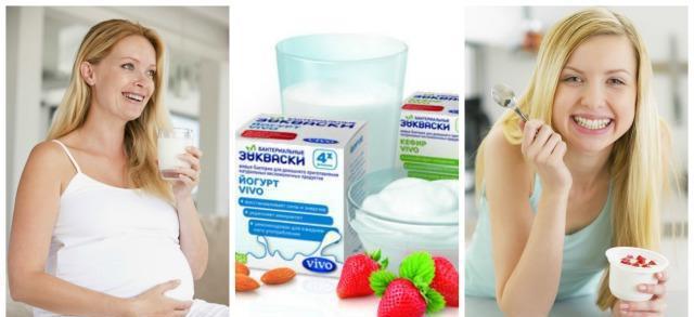 Sourdough Vivo: beoordelingen. Bacteriële zuurdesem voor yoghurt