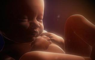 De placenta op de voorwand van de baarmoeder: een excuus voor opwinding of een variant van de norm?