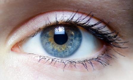 de iris van het menselijk oog